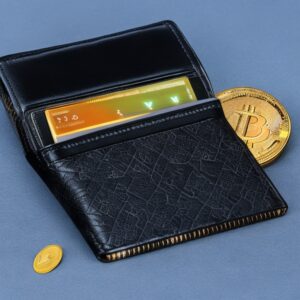 Recover Cryptocurrency wallet lost